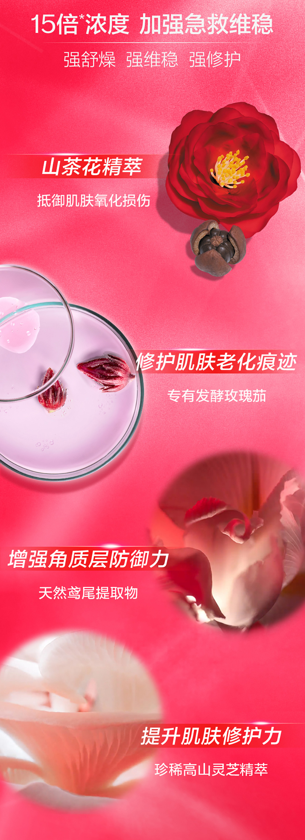 红腰子